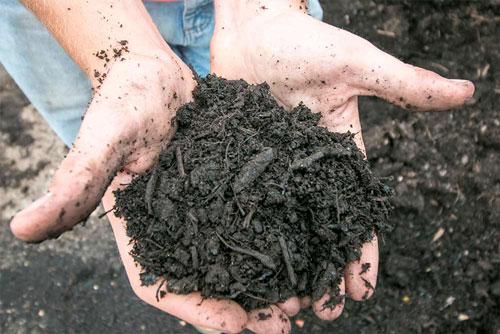 Compost